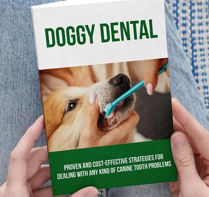 WildGut-Bonus-2-Doggy Dental